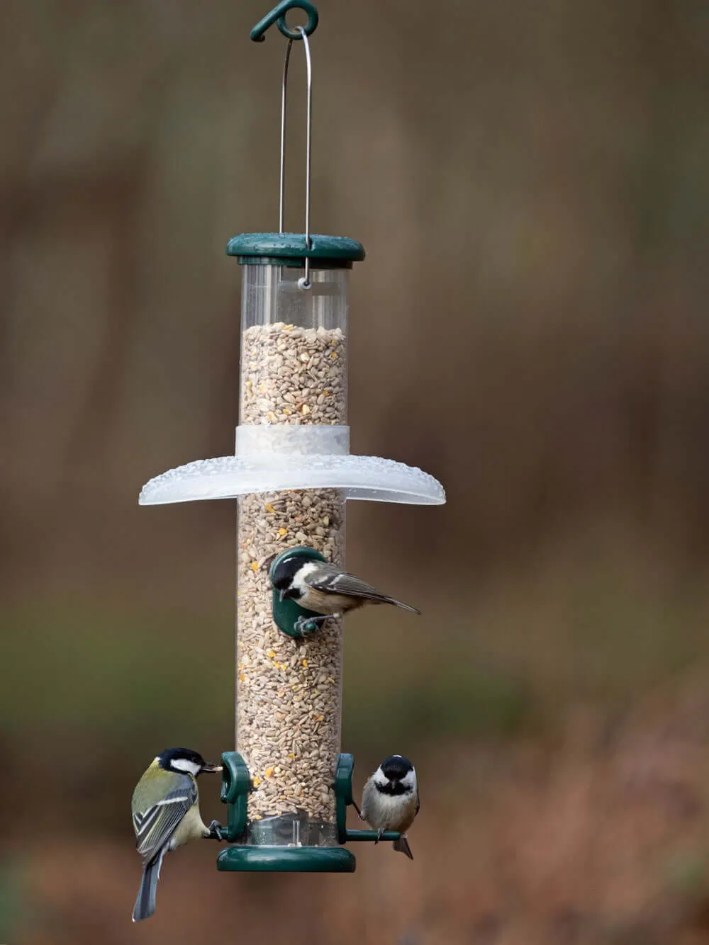 Rain Away Bird Feeder Rain Guard